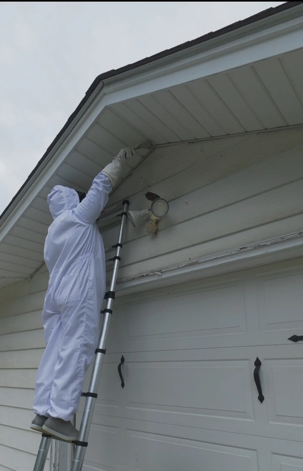 Mission Pest Control technician removing an accessible wasp nest beneath a residential eave